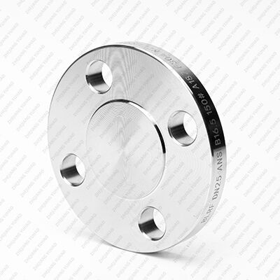 Stainless Steel Blind Flange - Corrosion-Proof Seal, Versatile for Industrial & Marine Piping