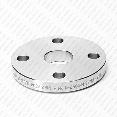 Stainless Steel Plate Flange Class 150 with ASTM A182 F304 Material and ANSI B16.5 Standard for Low Pressure Industrial Piping