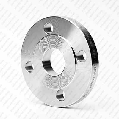 Stainless Steel Plate Flat Flange 304/316L – Standard-Compliant Flat Face for Low-Pressure Industrial Use