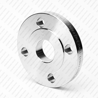 Stainless Steel Plate Flat Flange 304/316L – Flat Face, Low-Pressure for Industrial Piping
