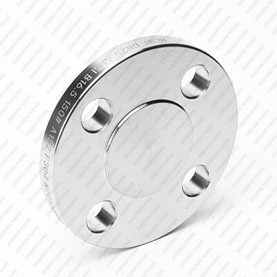 304/316L Stainless Steel Blind Flange – ANSI/DIN Compliant Sealing Cap for Industrial Pipelines